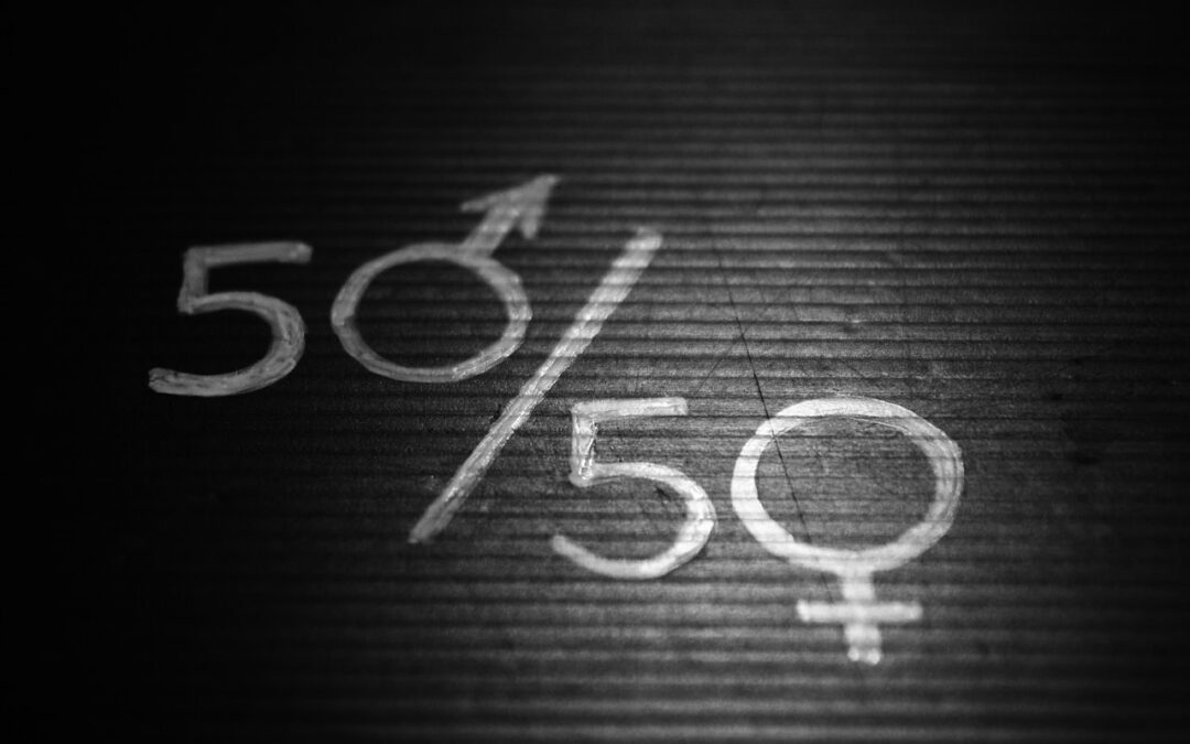 Žene u skupštini: Čemu služe kvote?