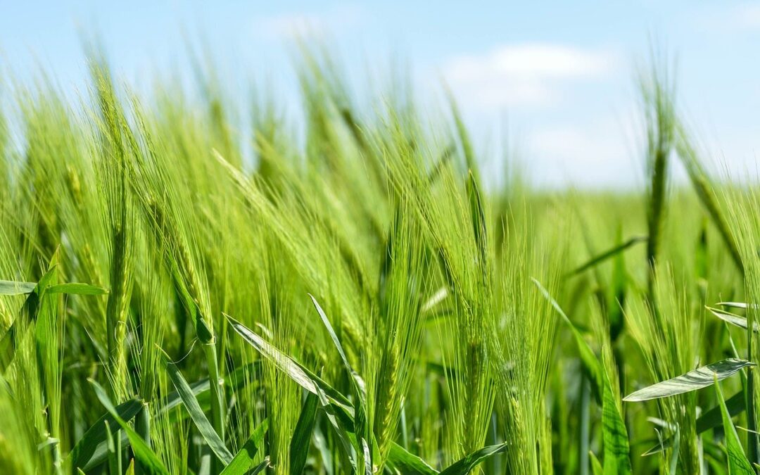 Zajedničkim djelovanjem ka boljoj budućnosti – Inicijative komesara Evropske unije