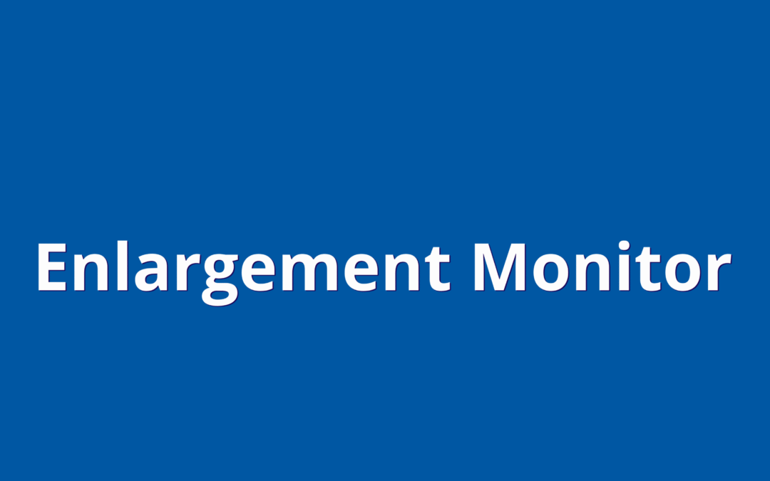 Enlargement Monitor